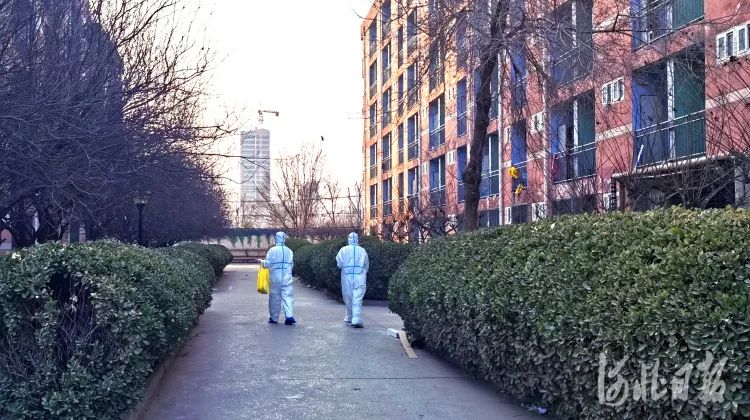 这是河北人的1月日历,真不容易,真了不起!(最新发布)