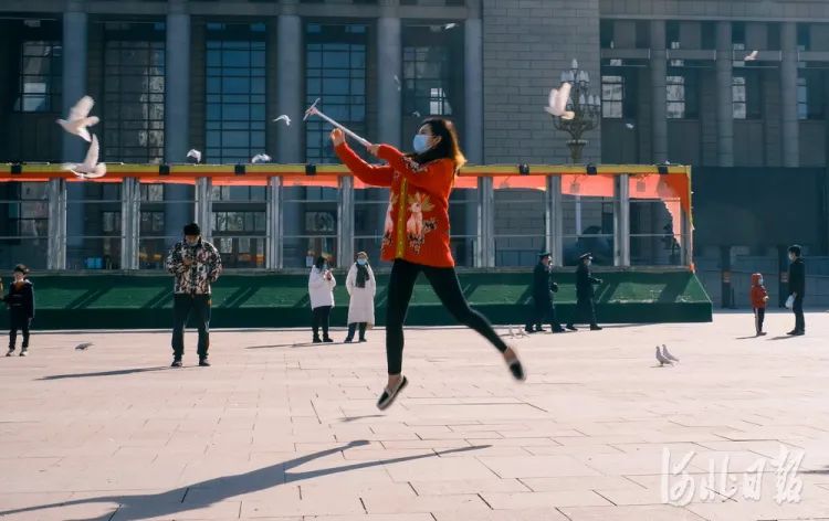 这是河北人的1月日历，真不容易，真了不起！（最新发布）