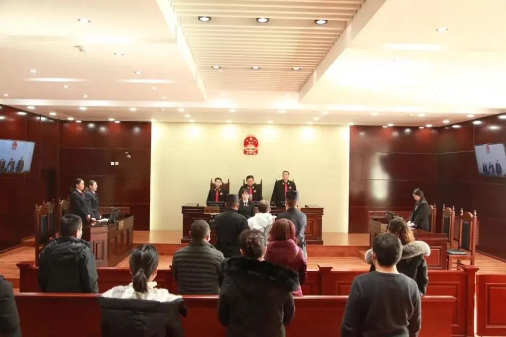 快来看!哪些案件写进了今年青海法院的工作报告