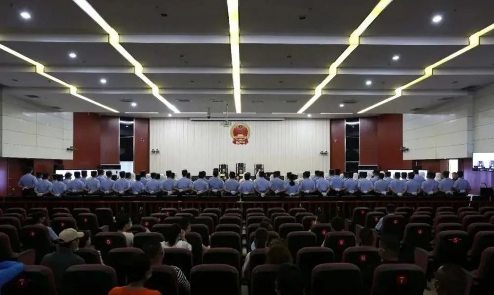 快来看!哪些案件写进了今年青海法院的工作报告
