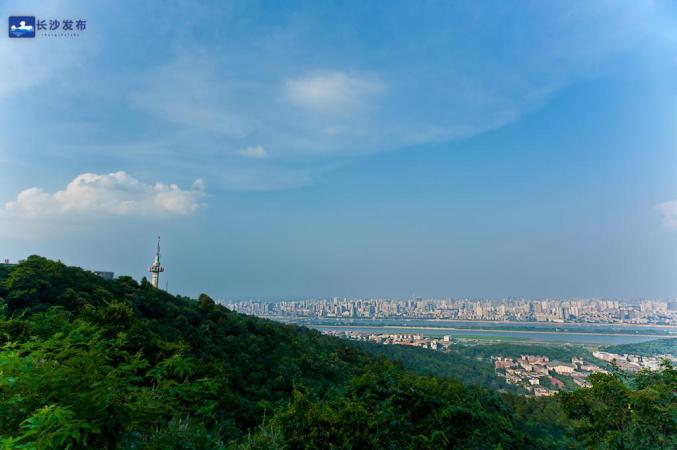 岳麓山限流!橘子洲限流!即日起实施