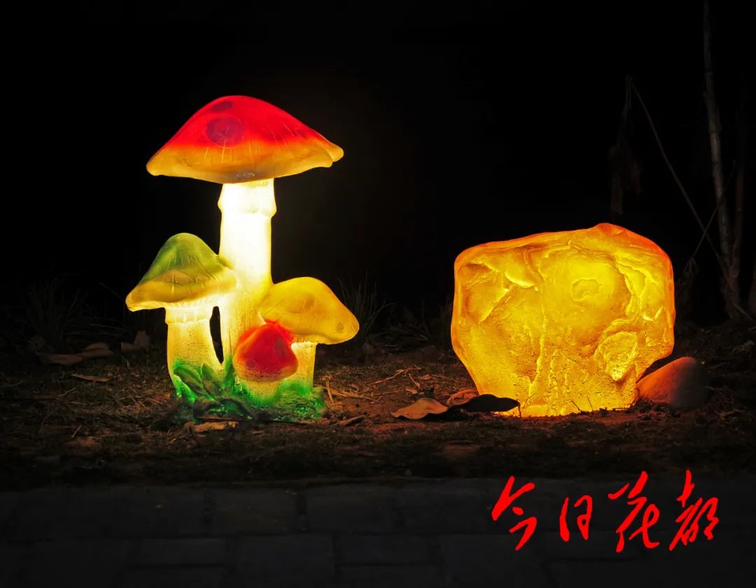亮灯了花都红山村夜景大片美如画