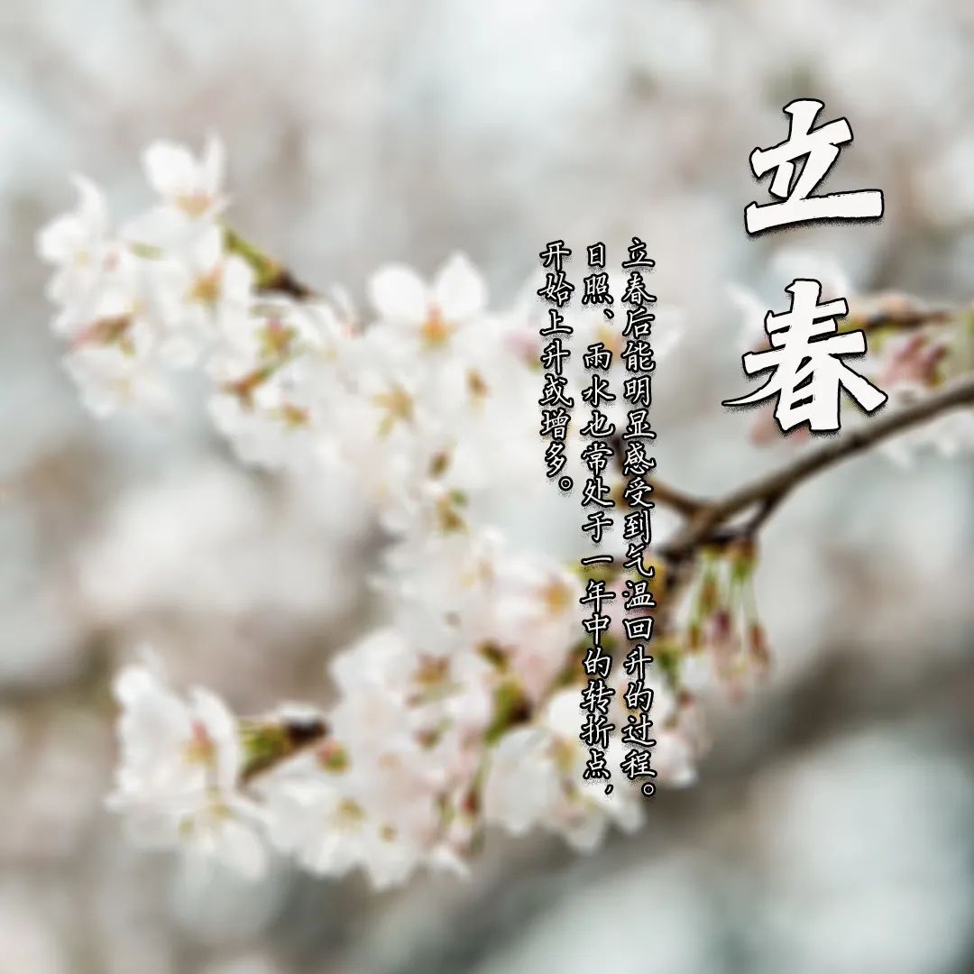 今日,立春