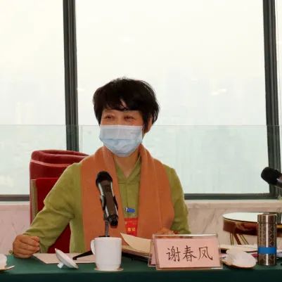 直击市两会政协民进界别组讨论市政协常委会工作报告提