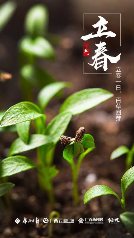 30℃走起!今日立春,广西继续回暖(最新发布)