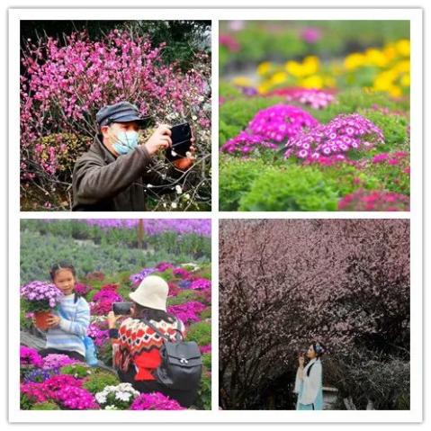 30℃走起!今日立春,广西继续回暖(最新发布)