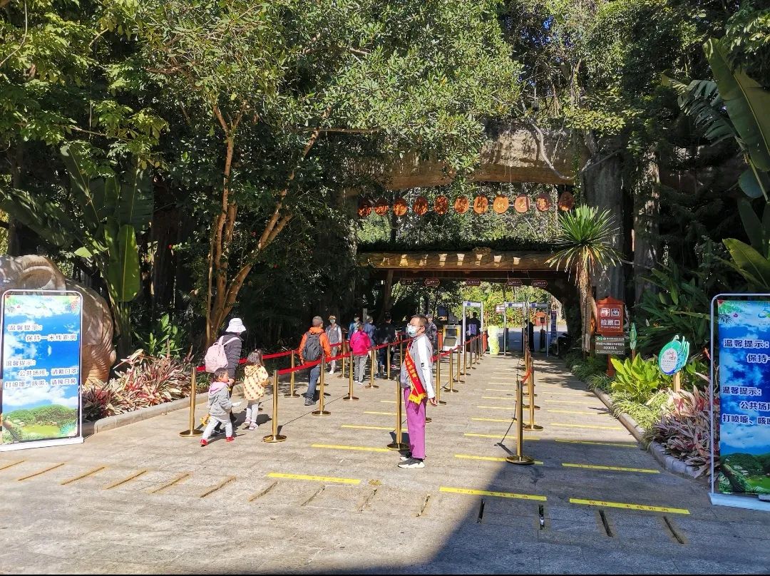 西双版纳州旅游景区:春节不打烊 做好防控迎游客