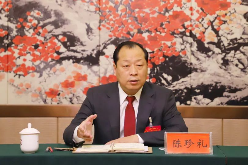 陈珍礼参加义井镇代表团审议