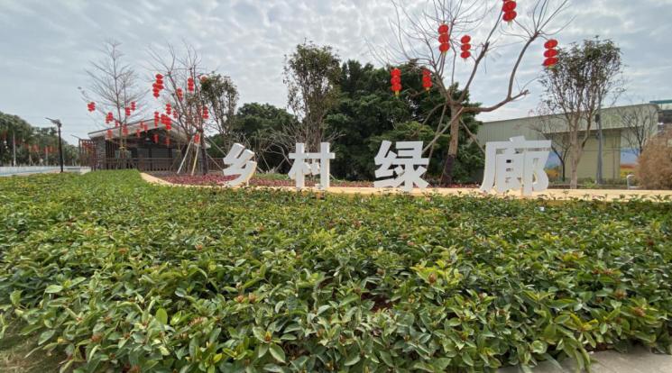 江海区乡村绿廊都市农业生态公园游玩攻略来了骑行野餐赏花拍照