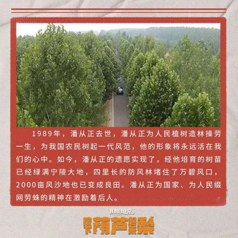 老坚决潘从正在风沙地的坚守用自己的一生换来的千亩良田