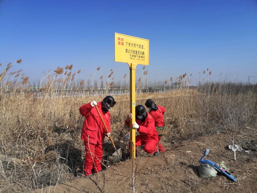 天津“原年人”都怎么过节?(最新发布)