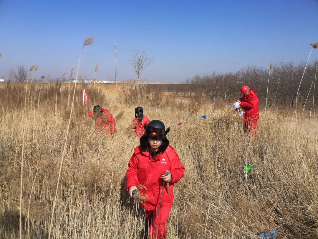 天津“原年人”都怎么过节?(最新发布)