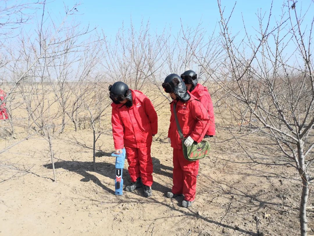 天津“原年人”都怎么过节?(最新发布)