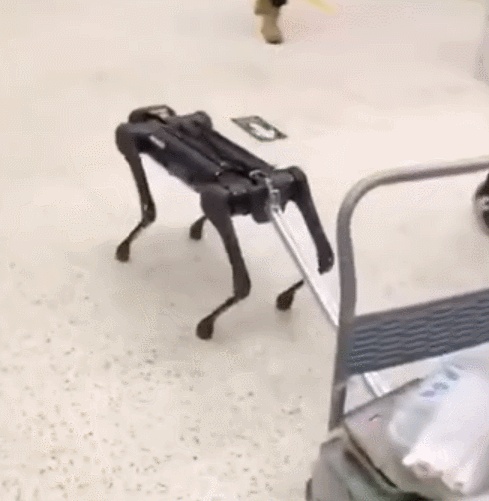 @没看春晚的你：昨晚最好笑的吐槽段子，都在这！（最新发布）