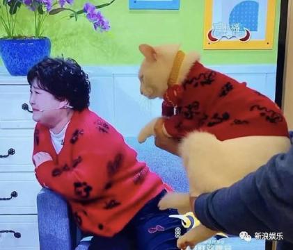 @没看春晚的你：昨晚最好笑的吐槽段子，都在这！（最新发布）