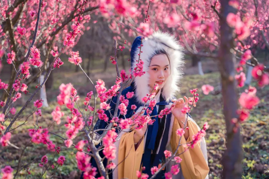 唯美穿越现场汉服小姐姐带你解锁梅花节拍照的n种姿势