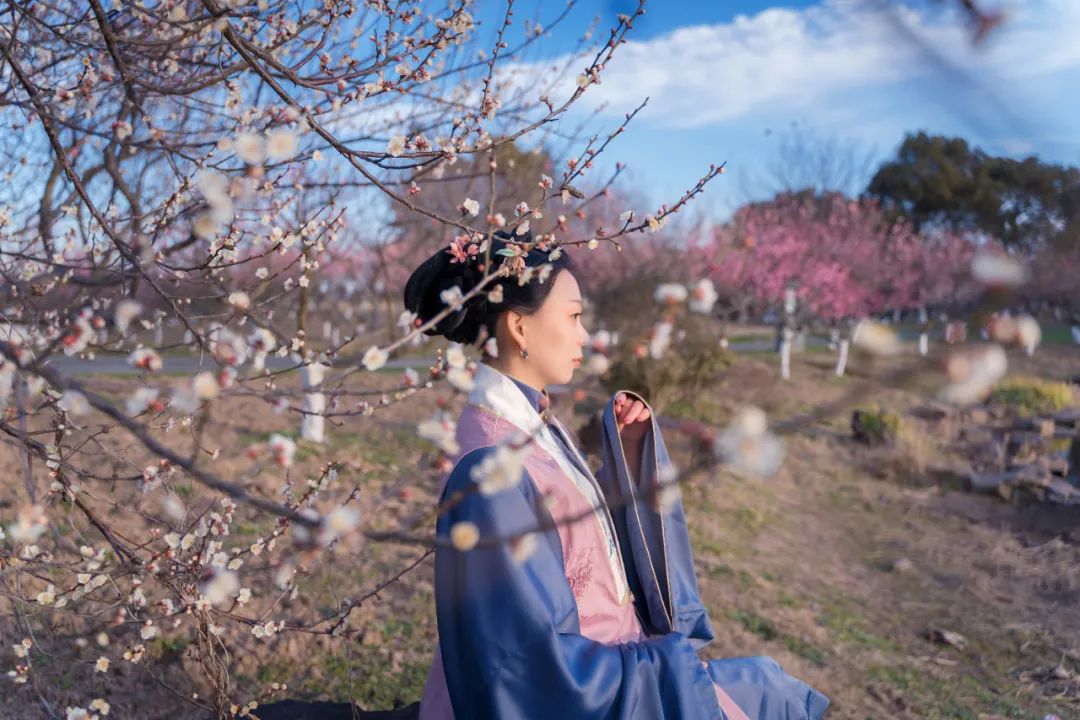 唯美穿越现场汉服小姐姐带你解锁梅花节拍照的n种姿势