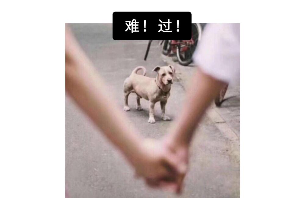 看些令人哭笑不得的恋爱故事