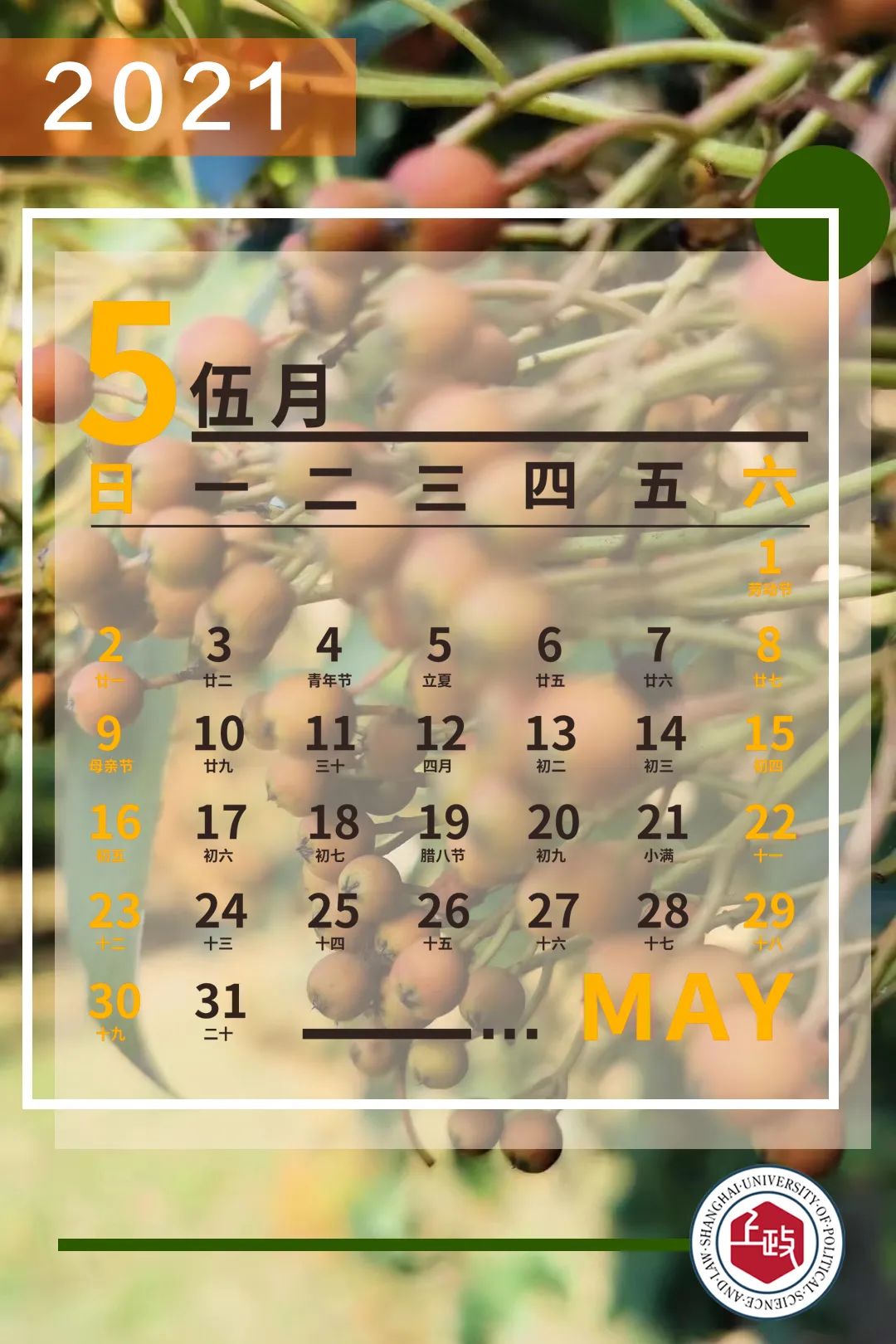 上政人,请查收2021专属月历