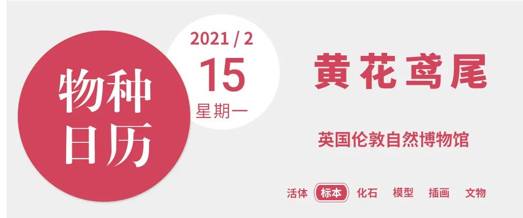 今天的植物人,都要感谢这位开放资源的大佬