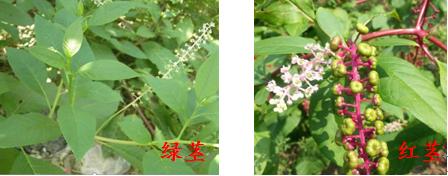 湖南省疾控中心最新提醒！（最新发布）