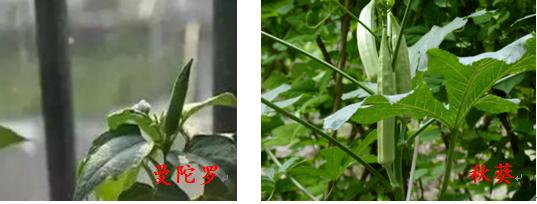 湖南省疾控中心最新提醒！（最新发布）