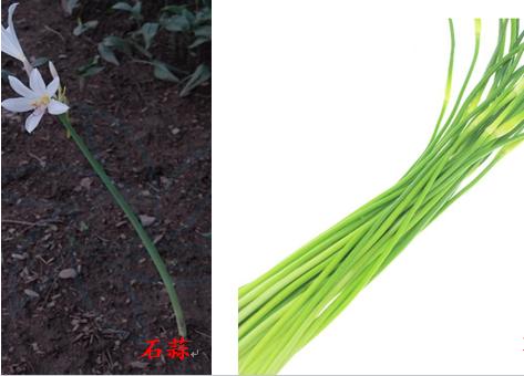 湖南省疾控中心最新提醒！（最新发布）