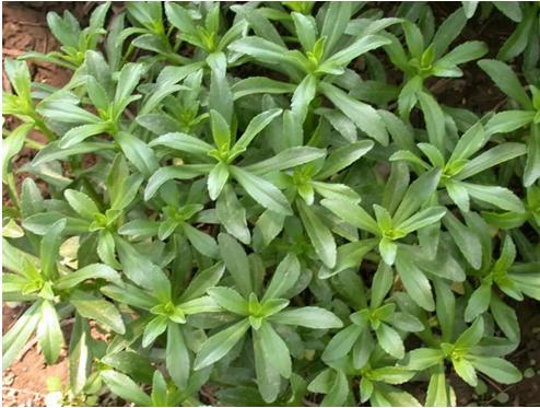 湖南省疾控中心最新提醒！（最新发布）