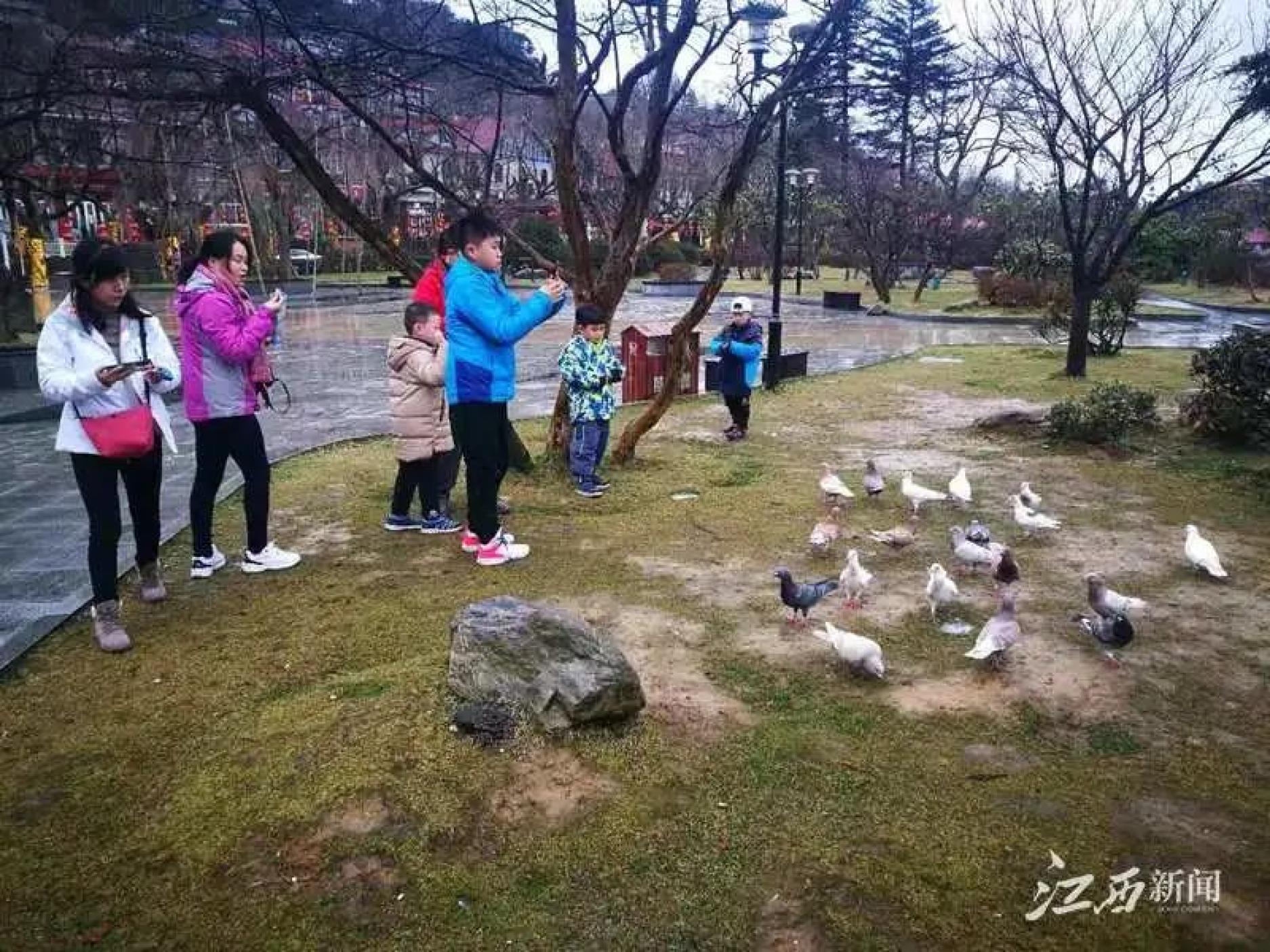 犇游江西，温暖过年！（最新发布）