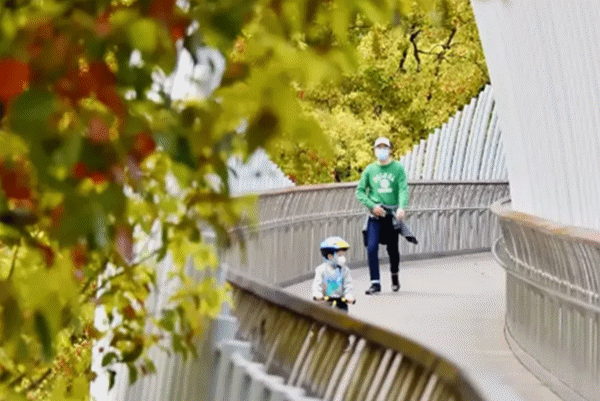 上海这些滨水风光等你来拍大片！普陀段抢先看→【爱申活暖心春】（最新发布）