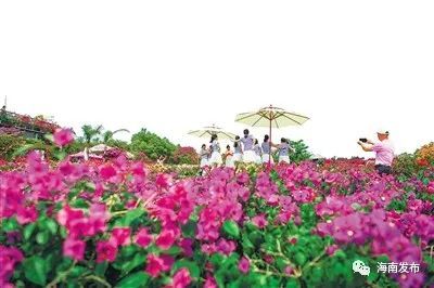 来!逛吃逛吃海南,总有一款年俗吸引你(最新发布)