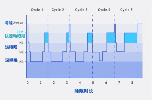 一个完整的睡眠周期约 90 分钟