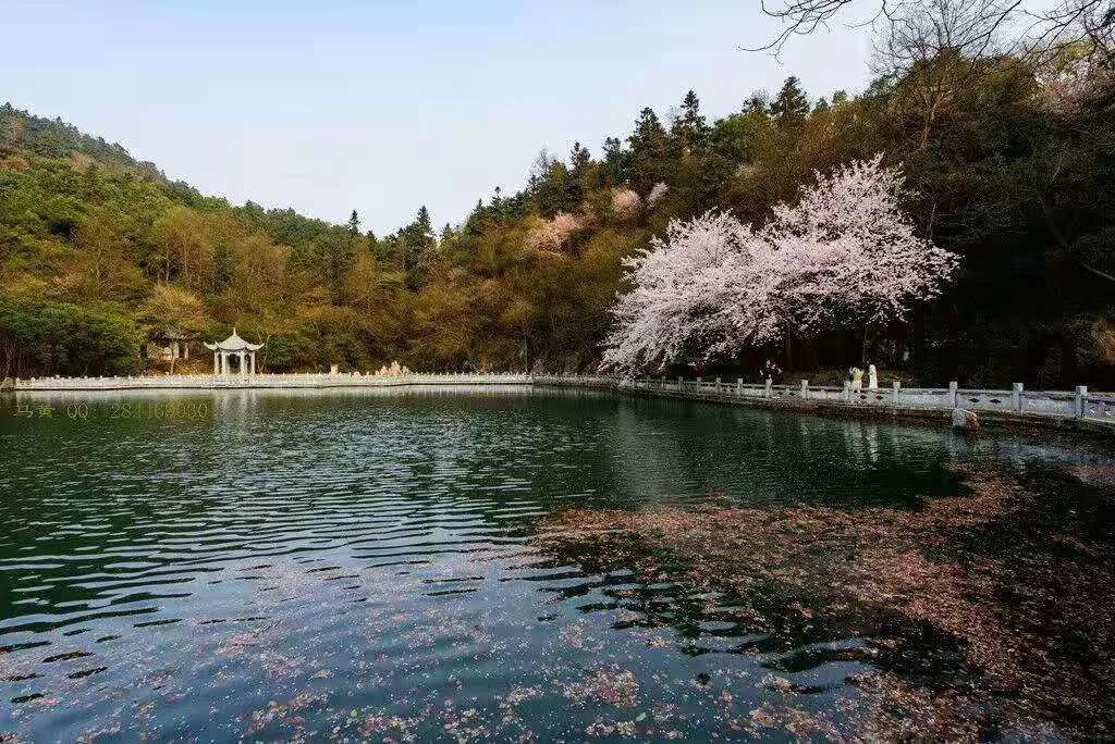 留黄过年黄石多个景区免费开放