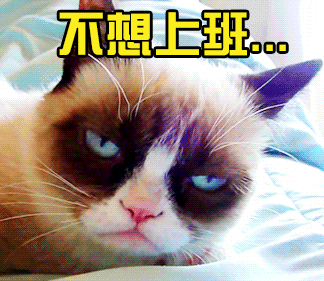 @天津人,明天开工啦!这些消息先了解一下→(最新发布)