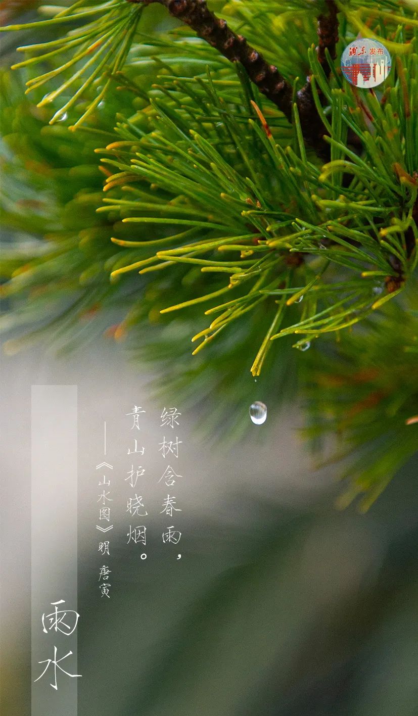 雨水雨润大地万物苏爱申活暖心春