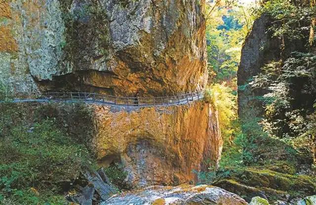 【打卡巴渝美景】来城口亢谷,体验巴山原乡风情