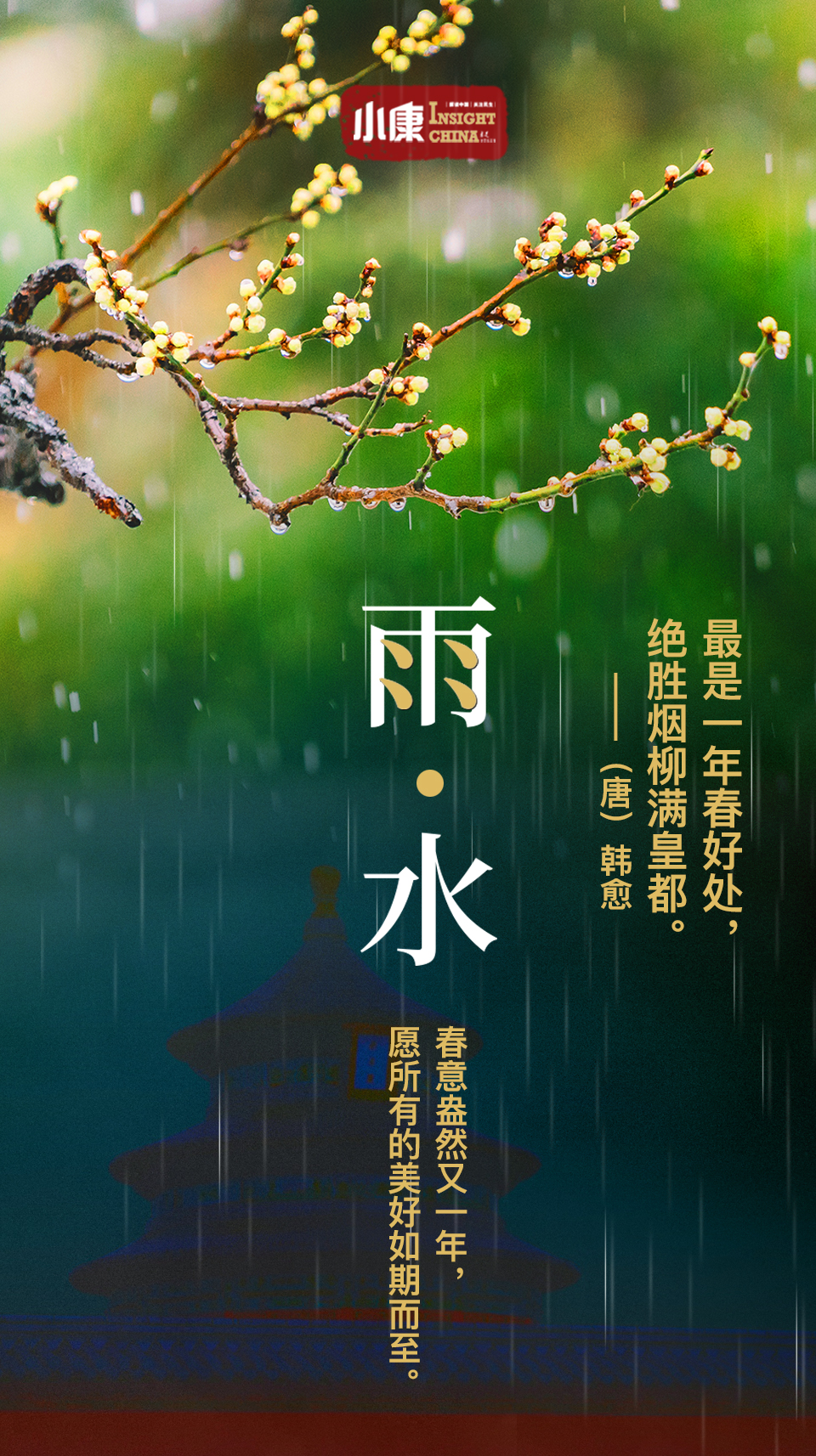 今日雨水不纠结少俗虑春雨已至花开可待