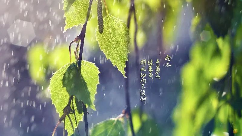 【雨水赛诗会】好雨知时节,当春乃发生