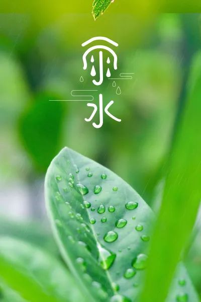 今日雨水|好雨知时节,当春乃发生