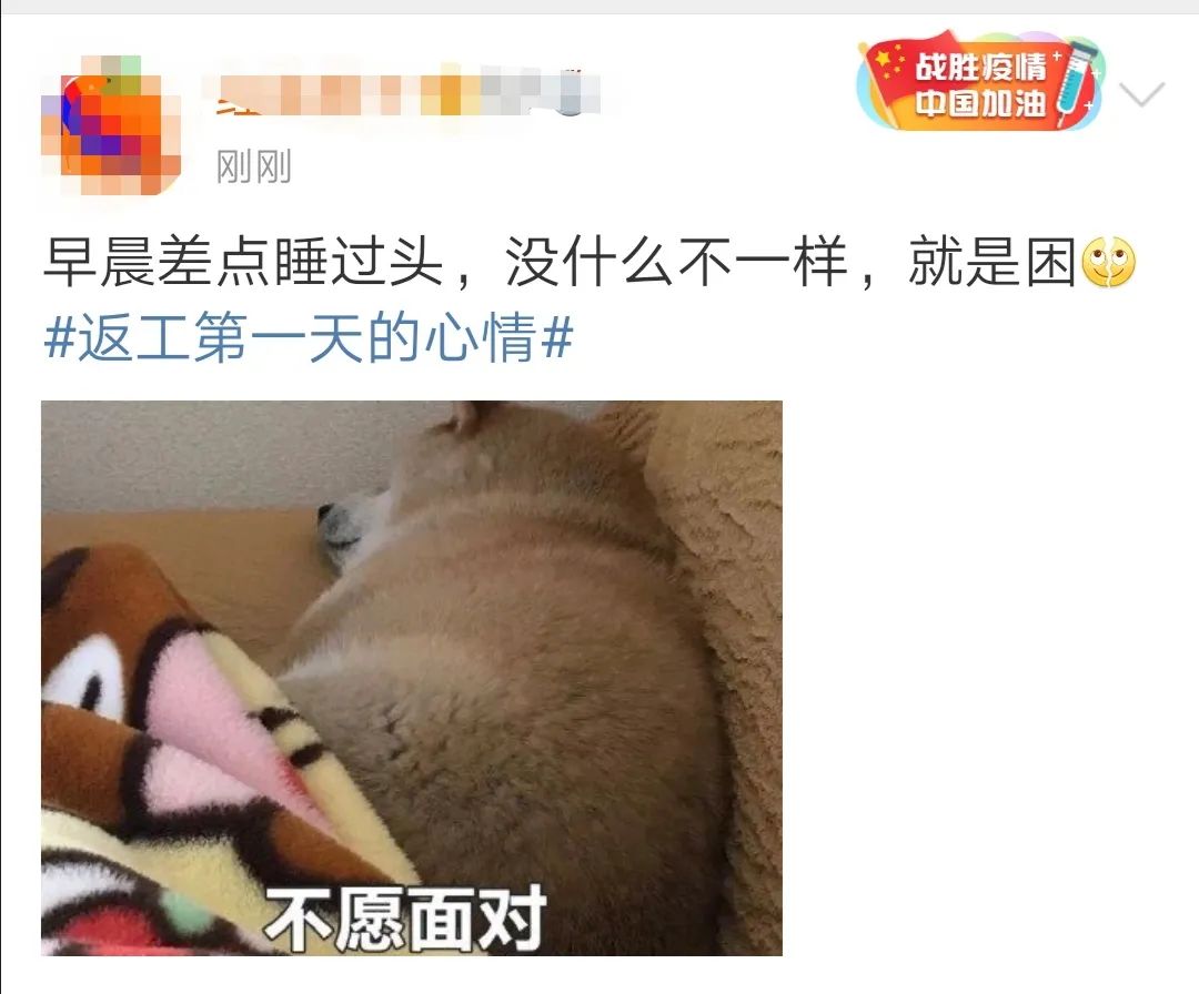迷迷糊糊昏昏沉沉恍恍惚惚!上班第一天,你"哈~"了吗?