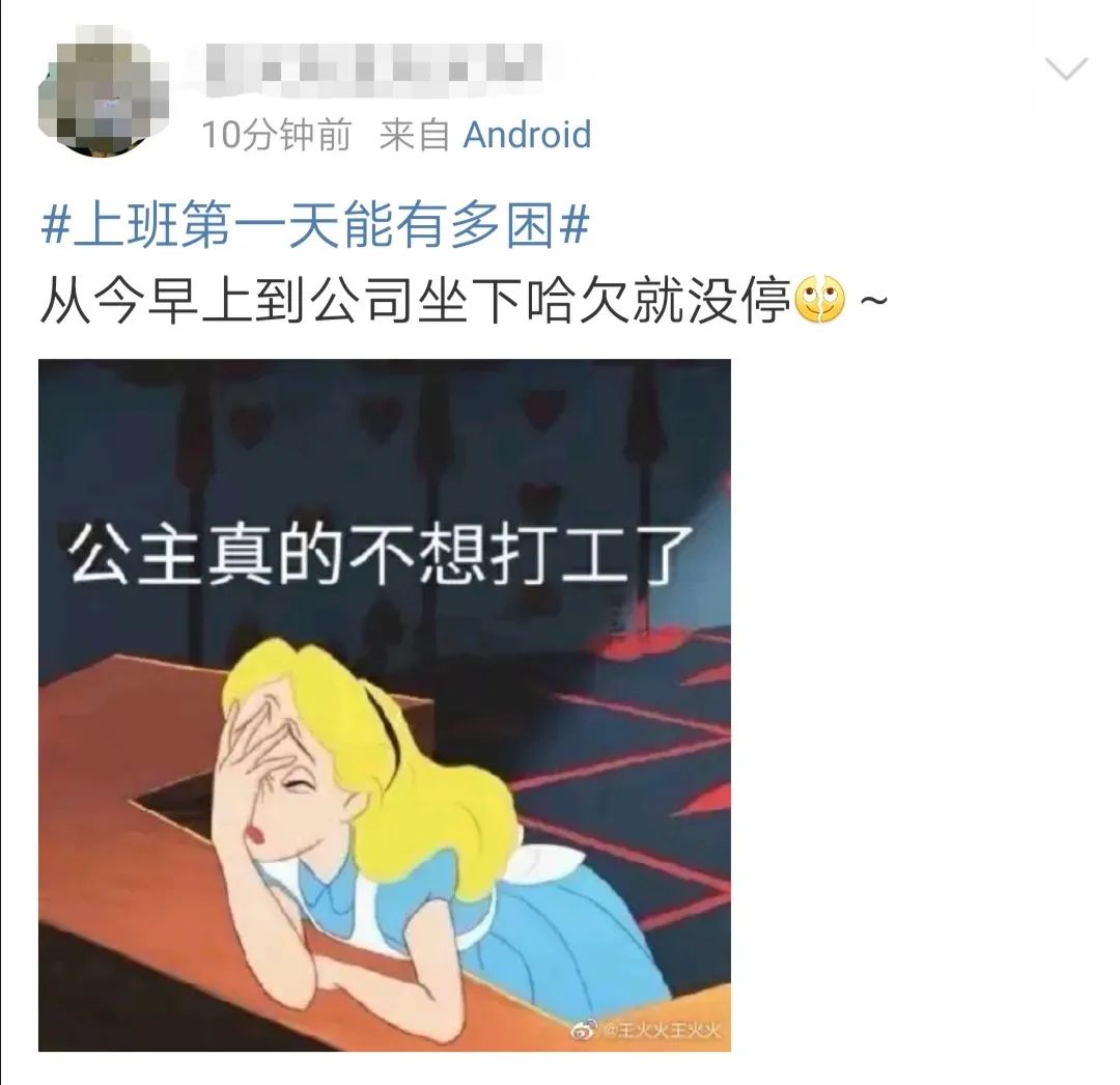 迷迷糊糊昏昏沉沉恍恍惚惚!上班第一天,你"哈~"了吗?