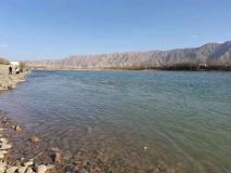 水川湿地公园早春芦花别样美