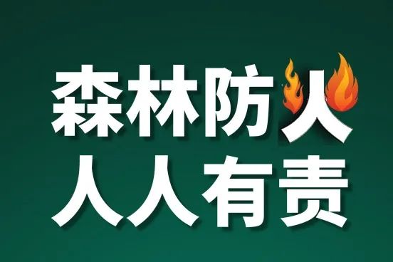 成立扑火临时指挥部,科学调度,妥善组织森林消防队伍进行扑救