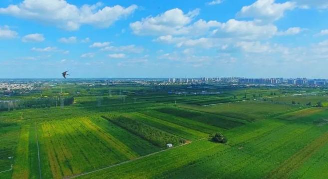 《大河之北》第四集《沃野千里》