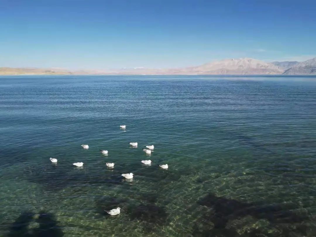 一个绝症病人走进西藏（最新发布）