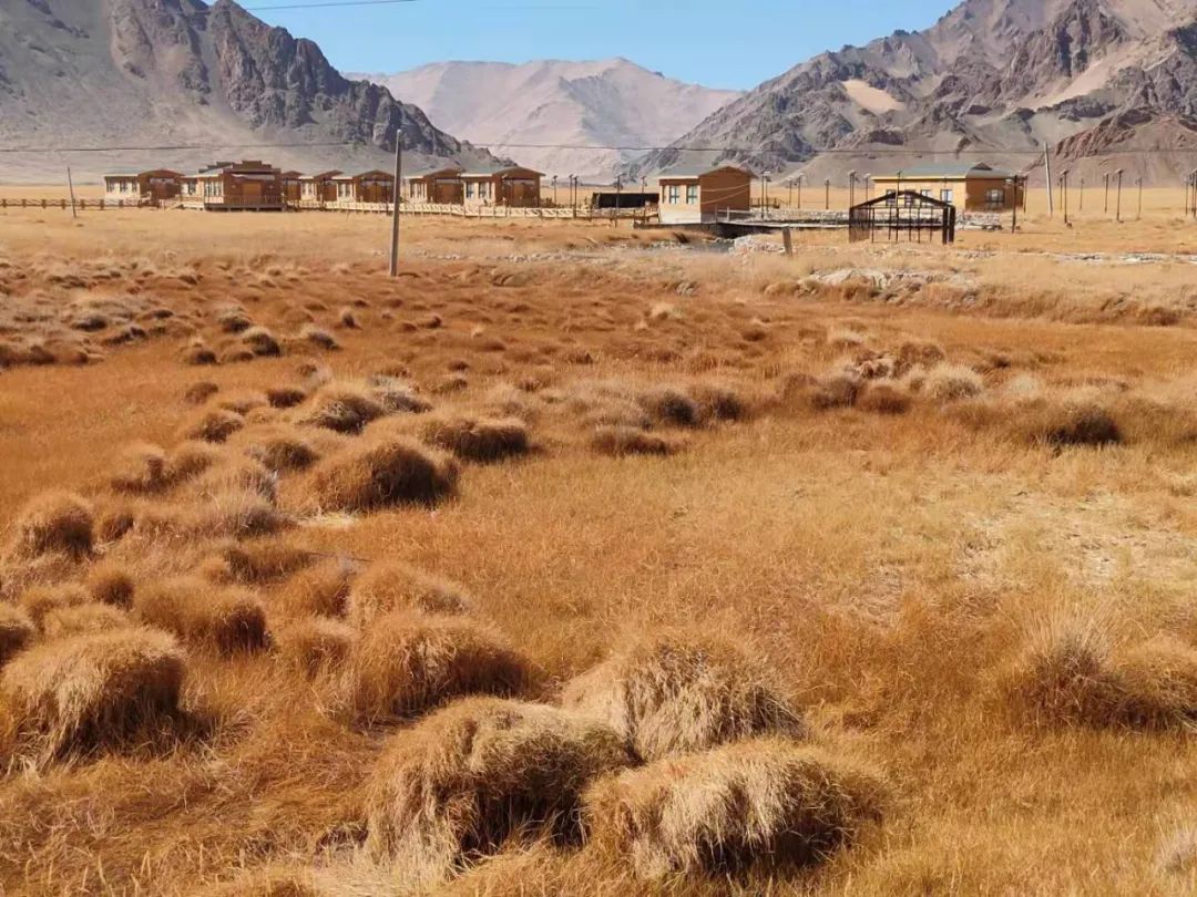 一个绝症病人走进西藏(最新发布)