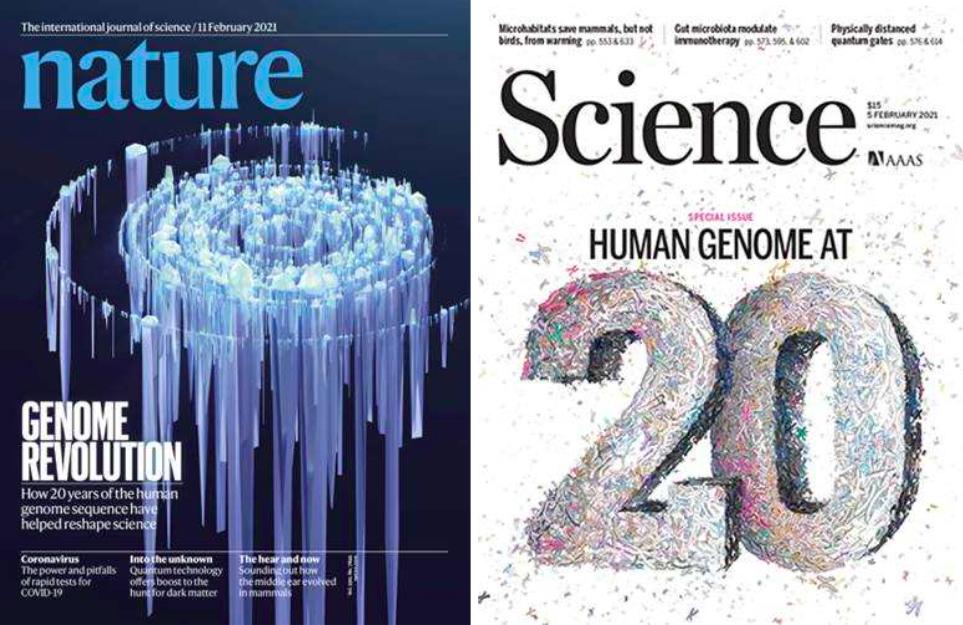 图1. nature和science为纪念hgp20周年的特别封面