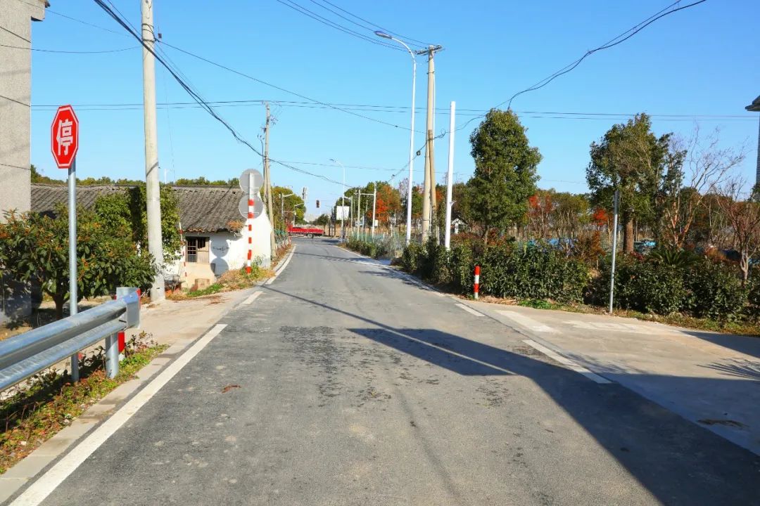 喜报!青村镇荣获上海市"四好农村路"示范镇称号