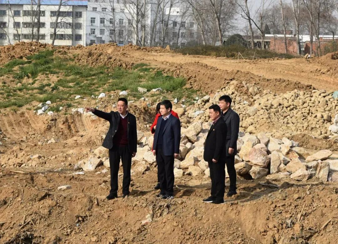 卧龙区领导到石桥镇调研指导工作