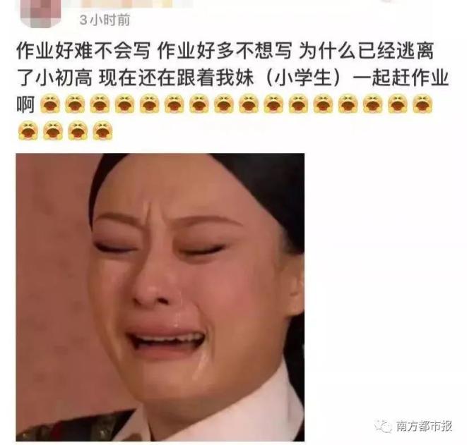 还在赶作业的更有二十多岁了有在回校路上仍在赶作业的哭完又继续写有